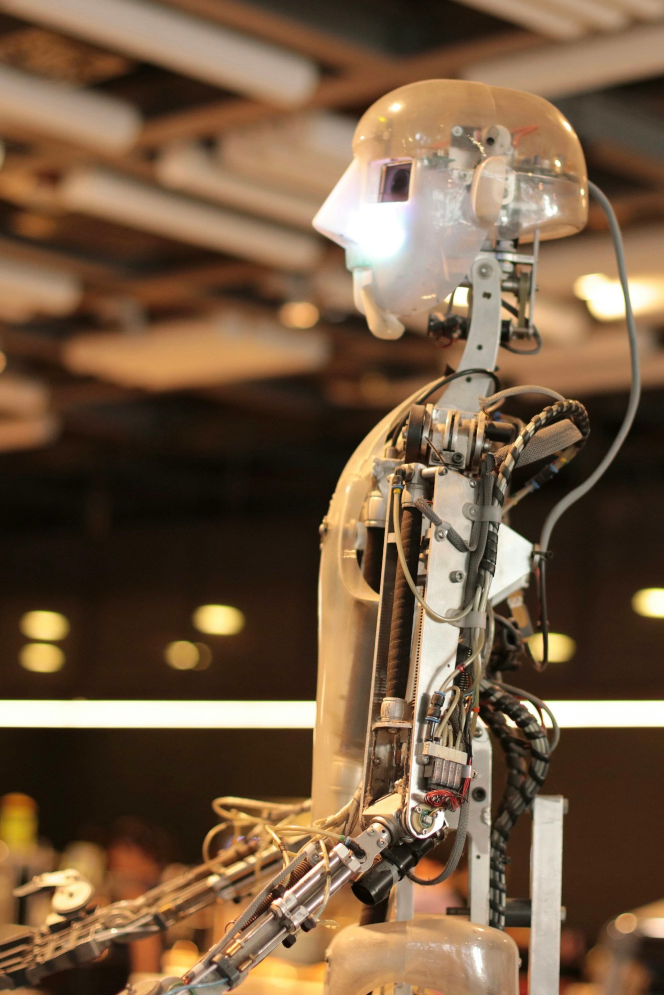 Robot, technology, future, modern technology, electronic, futuristic, artificial technology, high